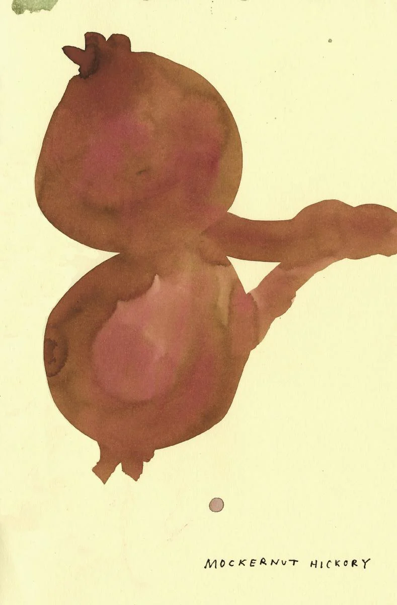 The Native Trees of Canada - Image 3