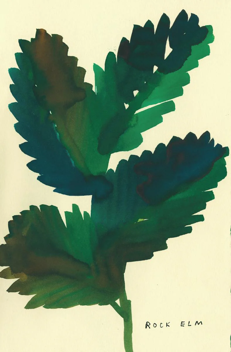 The Native Trees of Canada - Image 6