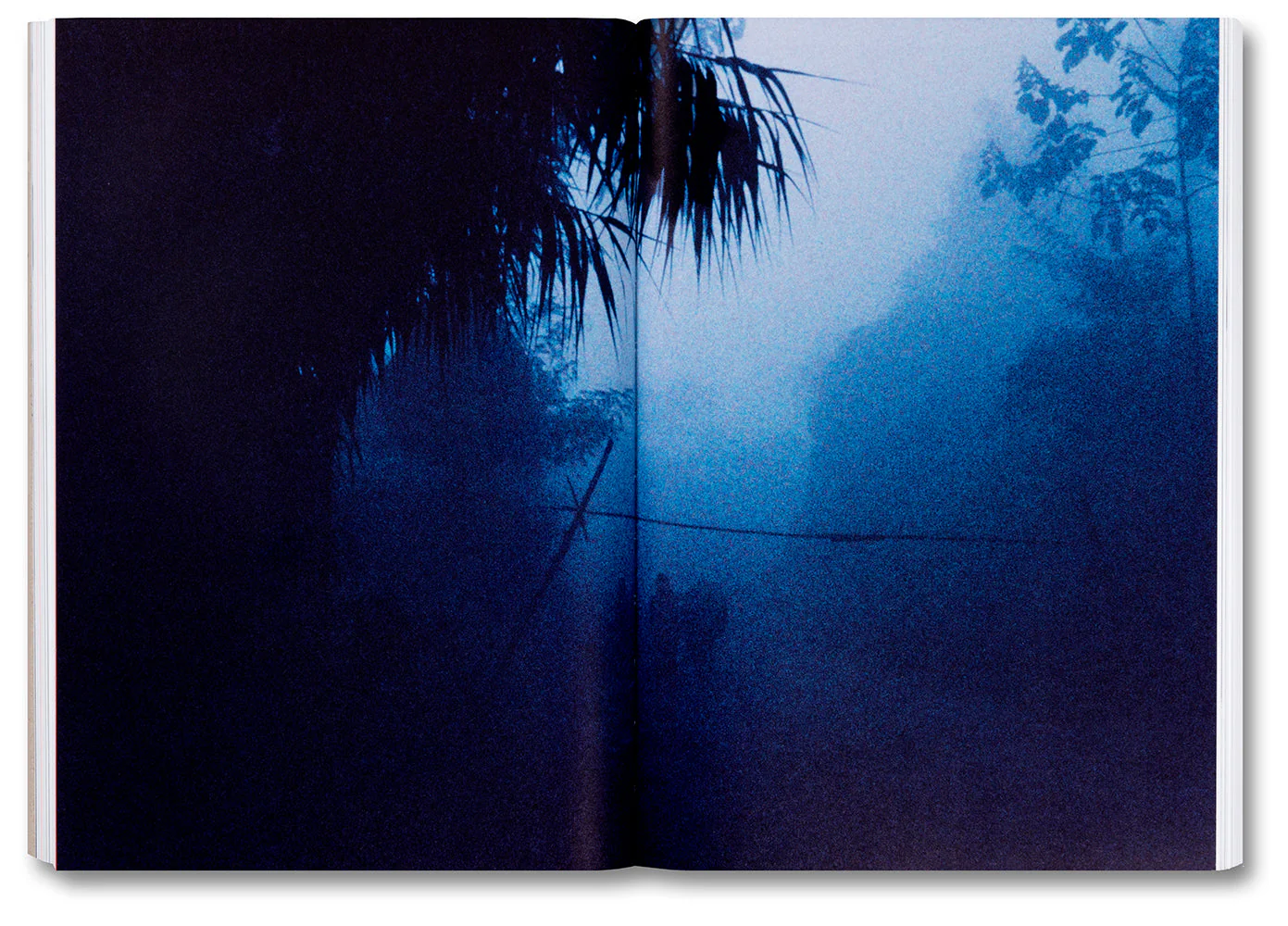 Shining Lights: Black Women Photographers in 1980s-90s Britain - Image 9