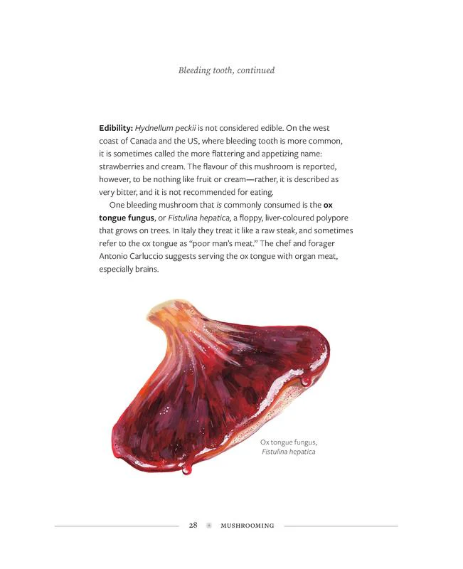 Mushrooming - Image 3