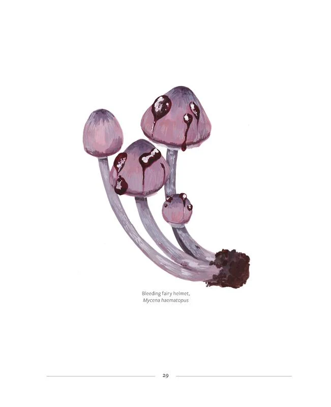 Mushrooming - Image 4