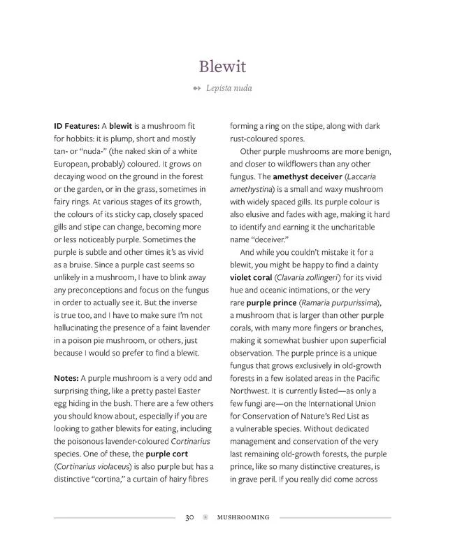 Mushrooming - Image 5