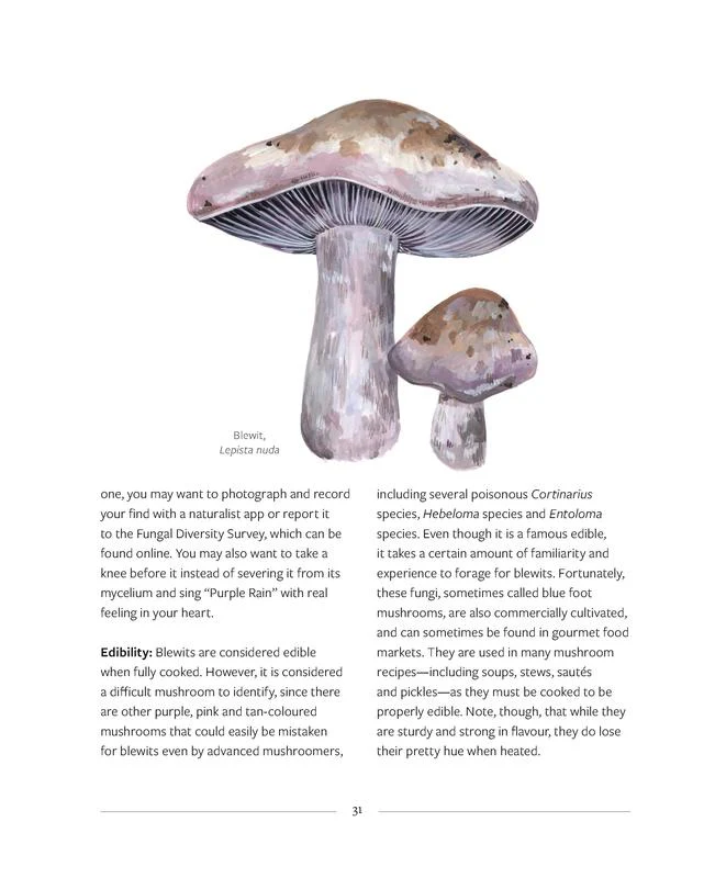 Mushrooming - Image 6