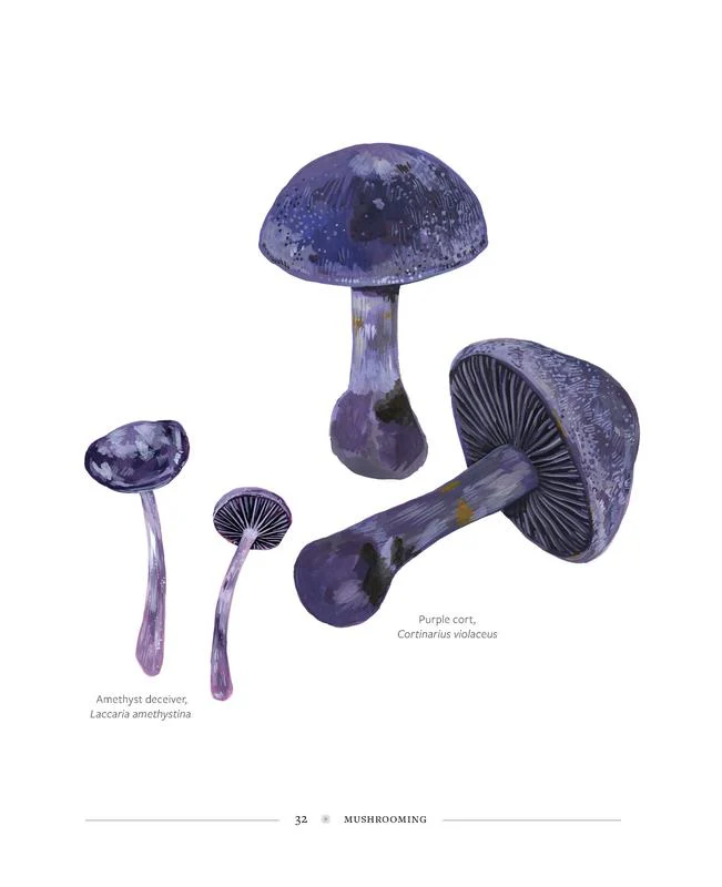 Mushrooming - Image 7