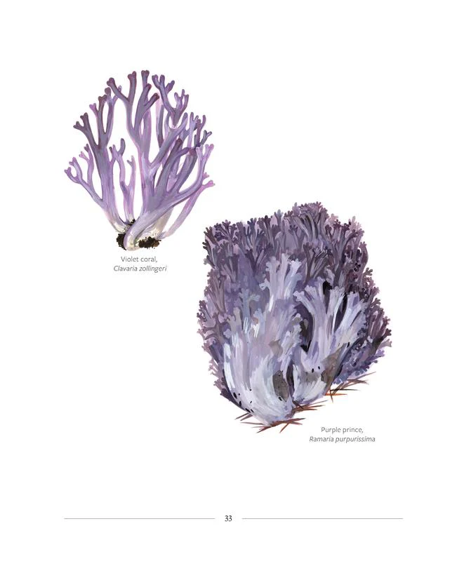 Mushrooming - Image 8