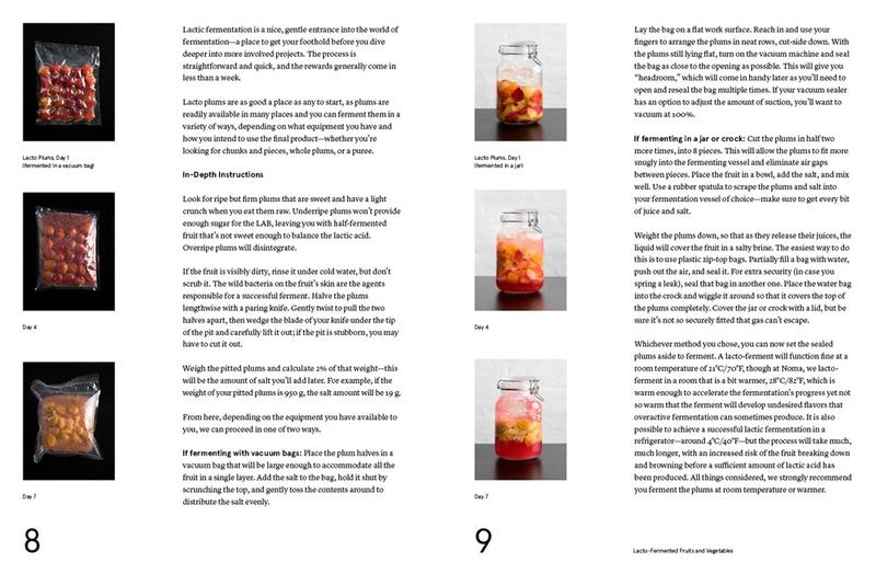 The Noma Guide to Fermentation - Image 3
