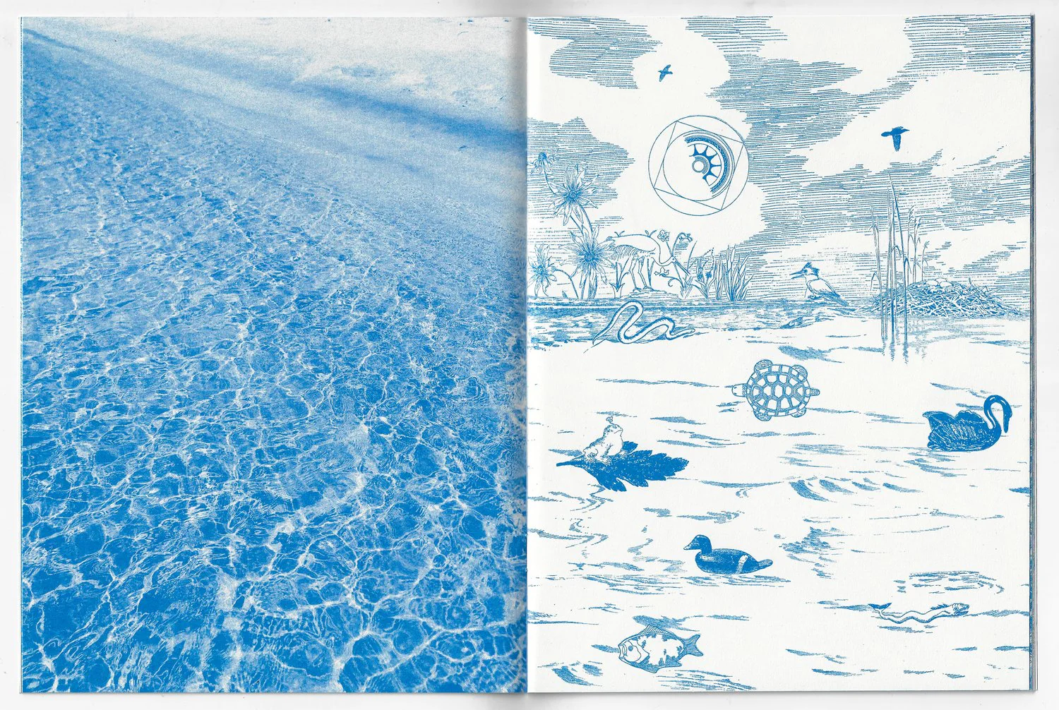 The Pattern - Image 3