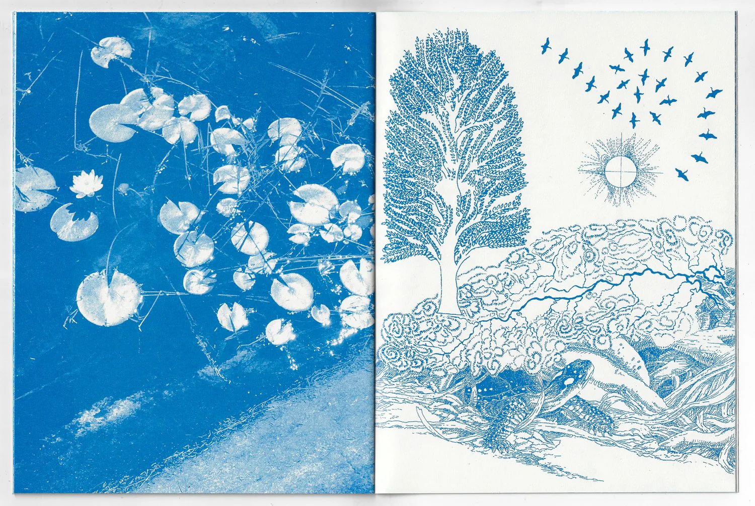 The Pattern - Image 5