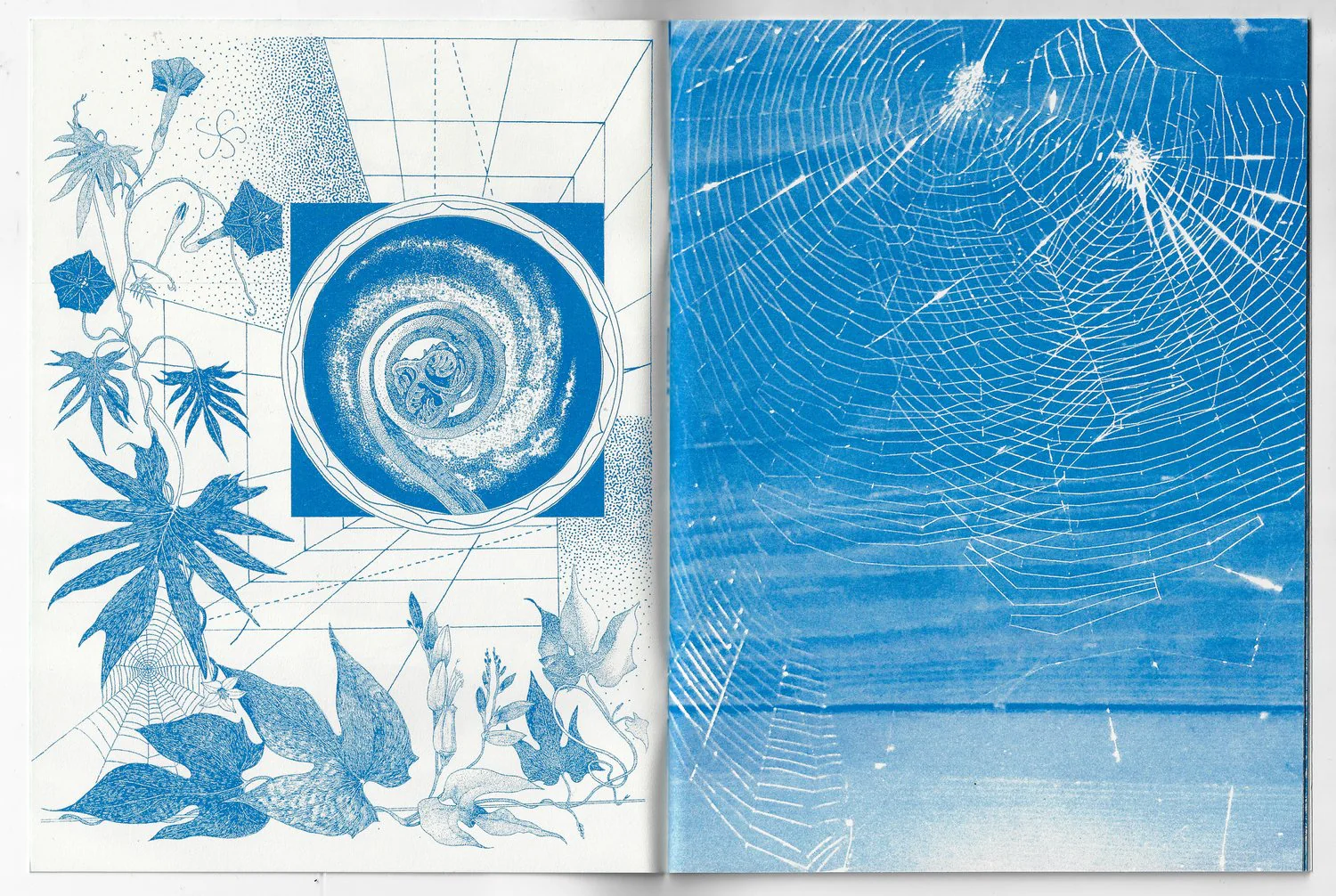 The Pattern - Image 6